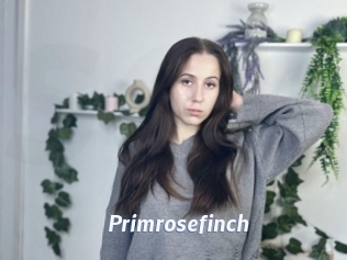 Primrosefinch