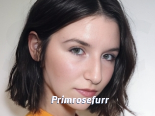 Primrosefurr