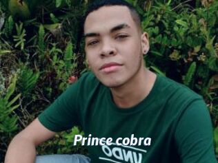 prince_cobra Sexe amateur contributions