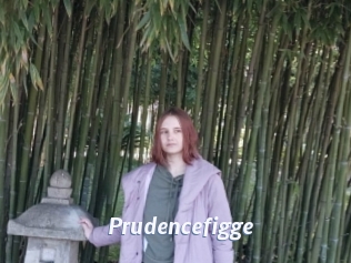 Prudencefigge