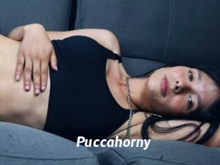 Puccahorny