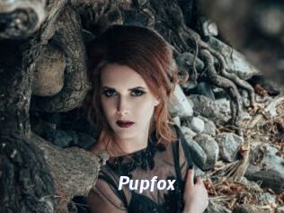 pupfox Sexe amateur contributions