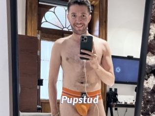 Pupstud