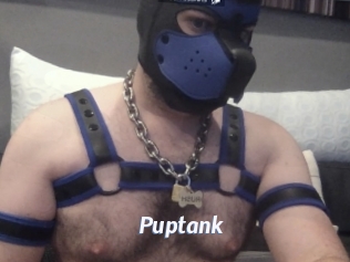 puptank Sexe amateur contributions