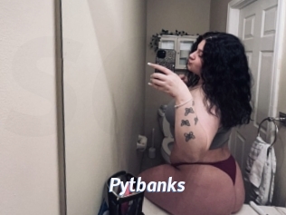 Pytbanks