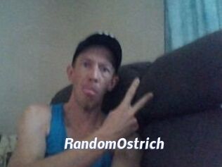 RandomOstrich