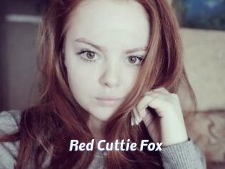 Red_Cuttie_Fox