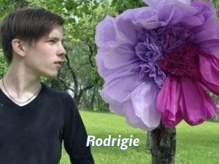 Rodrigie