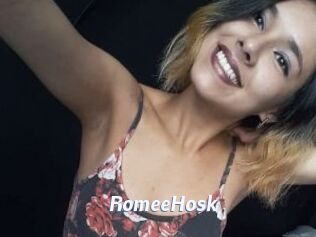 RomeeHosk