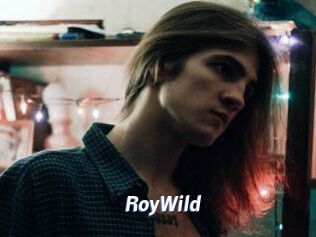 RoyWild