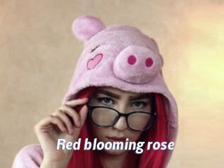 red_blooming_rose Sexe amateur contributions