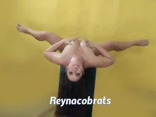 reynacobrats Sexe amateur contributions