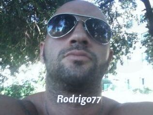 Rodrigo77