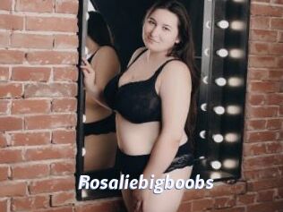 Rosaliebigboobs