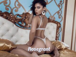 rosegrant Sexe amateur contributions
