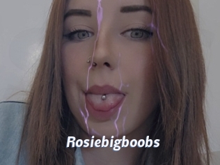 Rosiebigboobs