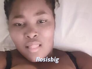 Rosisbig