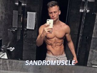 SANDRO_MUSCLE
