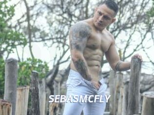 SEBASMCFLY