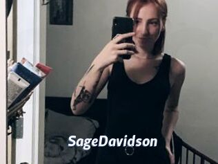 SageDavidson Sexe amateur contributions