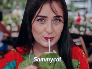Sammycat