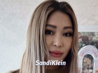 SandiKlein