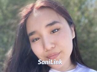 SaniLink