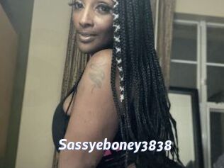 Sassyeboney3838