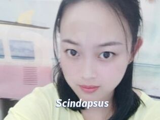 Scindapsus