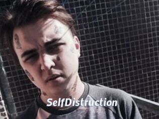 SelfDistruction