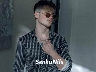SenkuNils Sexe amateur contributions
