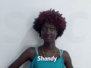 Shandy