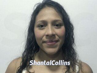 ShantalCollins Sexe amateur contributions