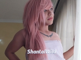 ShantalWild Sexe amateur contributions