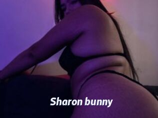 Sharon_bunny