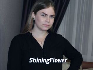 ShiningFlower Sexe amateur contributions