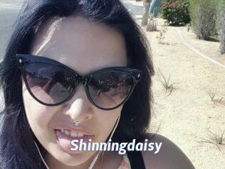 Shinningdaisy