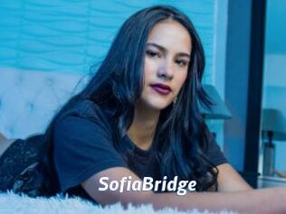 SofiaBridge