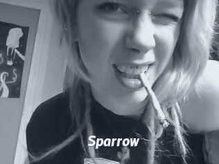 Sparrow