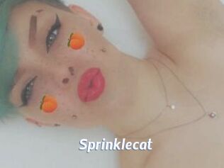 Sprinklecat