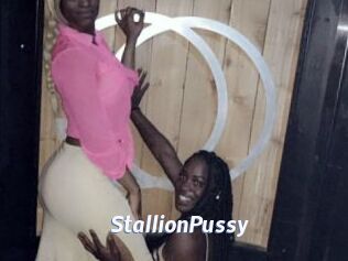 StallionPussy