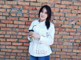 Tulip