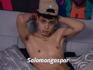Salomongaspar