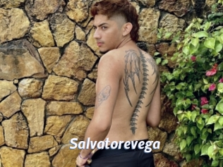 Salvatorevega