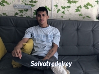 Salvatredelrey
