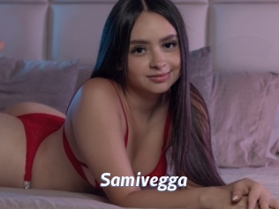 Samivegga