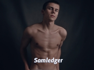 Samledger