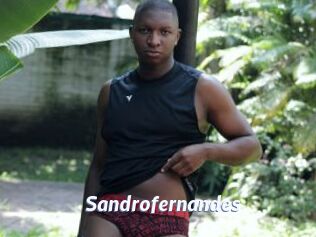 Sandrofernandes