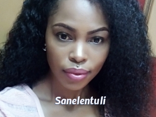 Sanelentuli