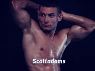 Scottadams